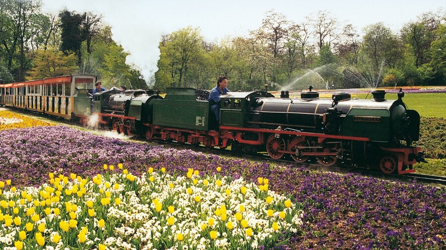 Killesberg Park ofreciendo artículos ferroviarios, un parque y flores