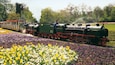 A steam train with passengers, traveling through a park with flower beds.