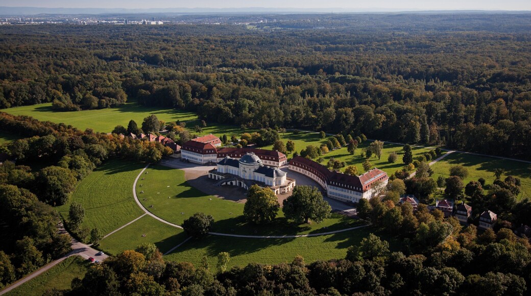 Solitude Palace which includes heritage architecture, château or palace and forest scenes