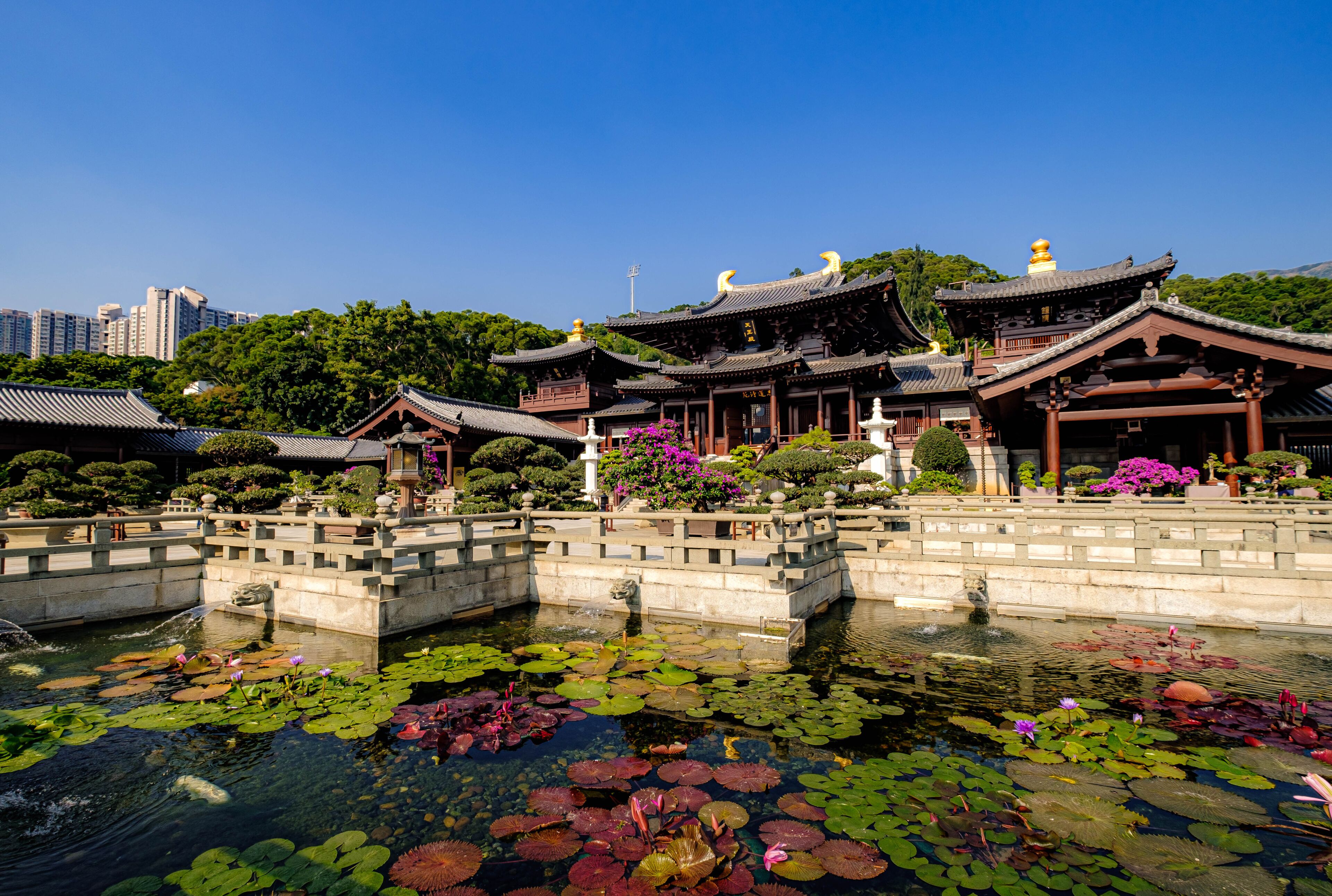 The Four Heavenly Kings Hall (as written in the plague of the building in Chinese) at Chi Lin Nunnery with a pond with lotus leaves in the foreground