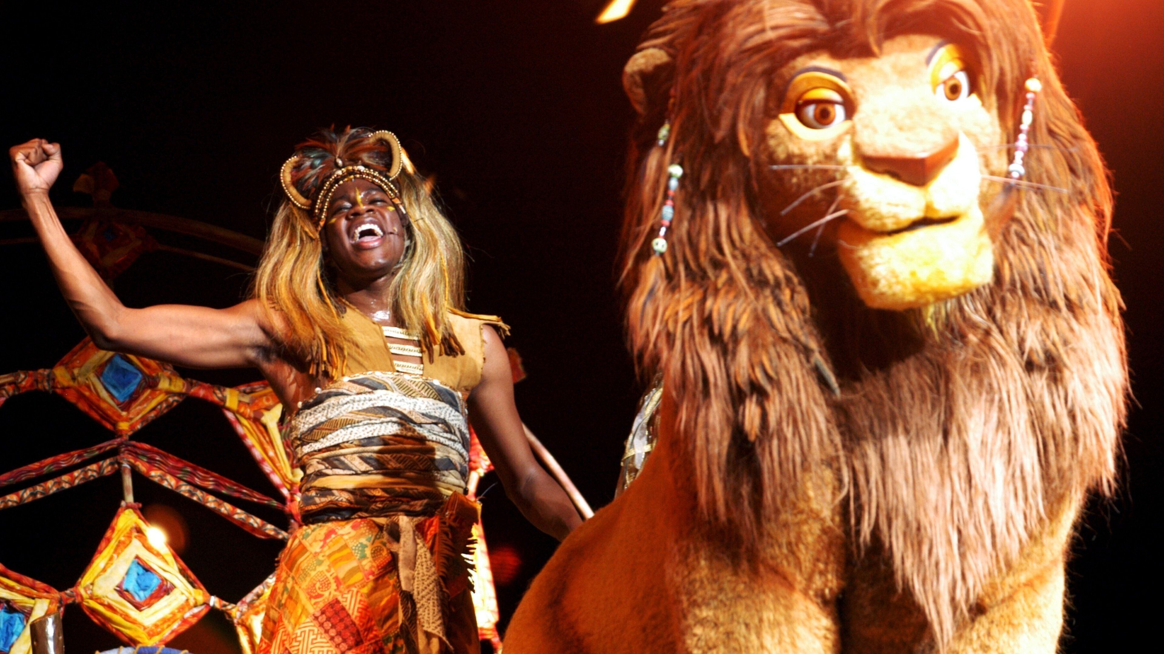 Hong Kong Disneyland showing performance art and night scenes as well as an individual male