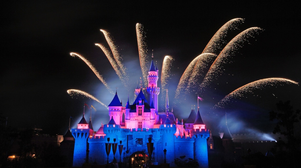 Hong Kong Disneyland que incluye paseos, escenas nocturnas y castillo o palacio