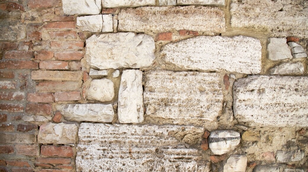 Porta Aurea showing heritage elements