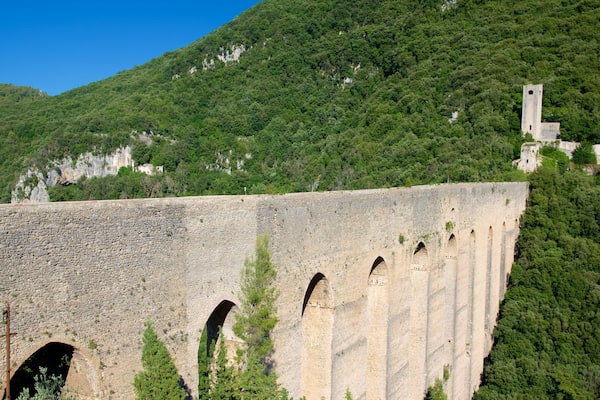 Ponte delle Torre mettant en vedette scĂšnes forestiĂšres et pont
