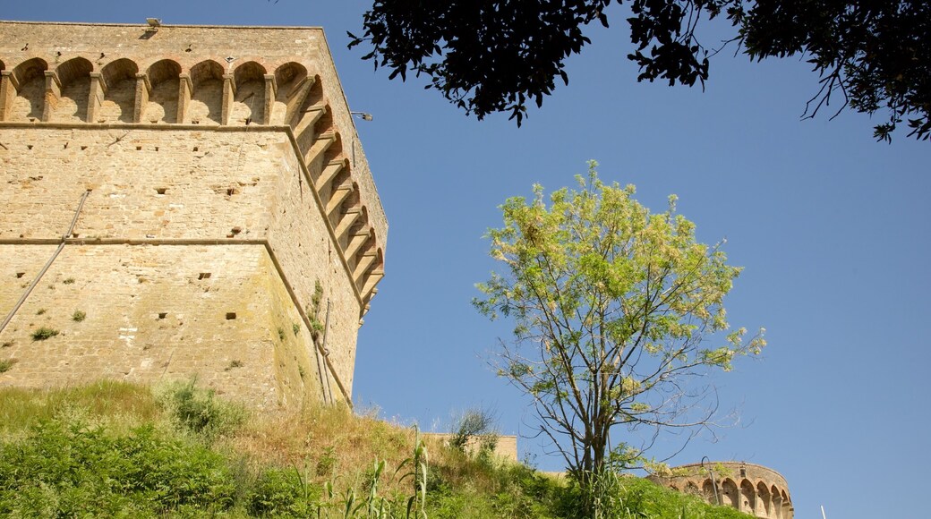 梅迪奇城堡 设有 城堡