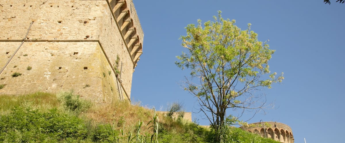 Fortezza Medici che include castello