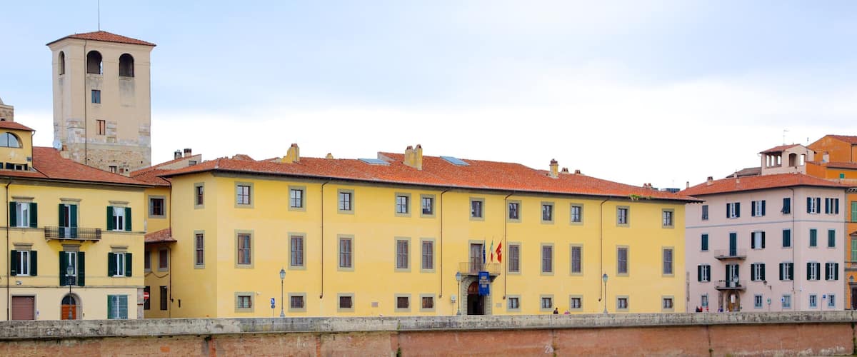 Pisa Royal Palace showing a castle, heritage architecture and a city