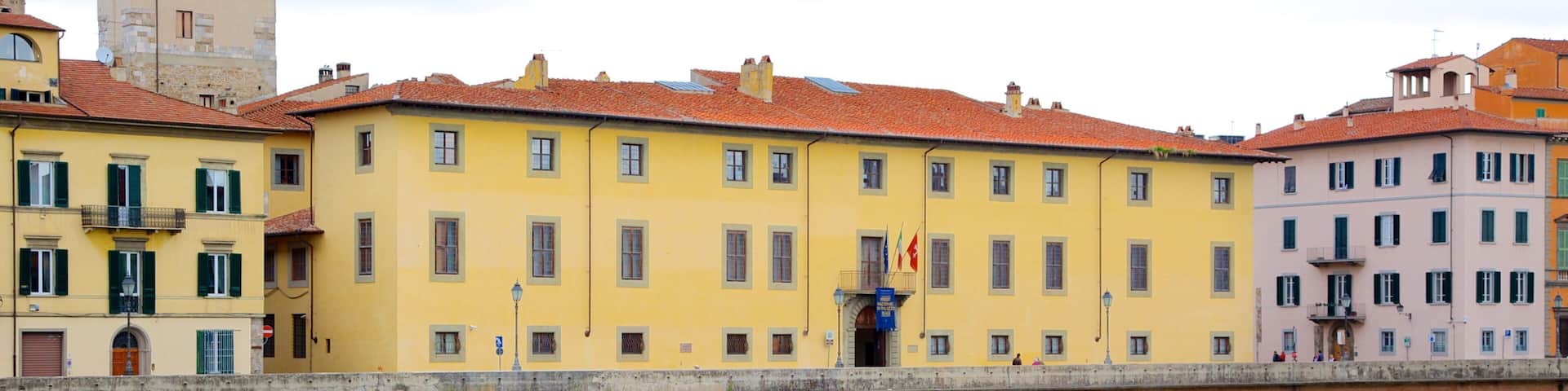 Pisa Royal Palace showing a castle, heritage architecture and a city