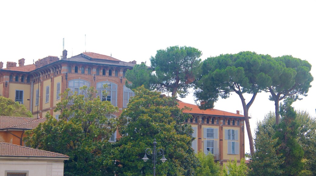 Pisa which includes heritage architecture