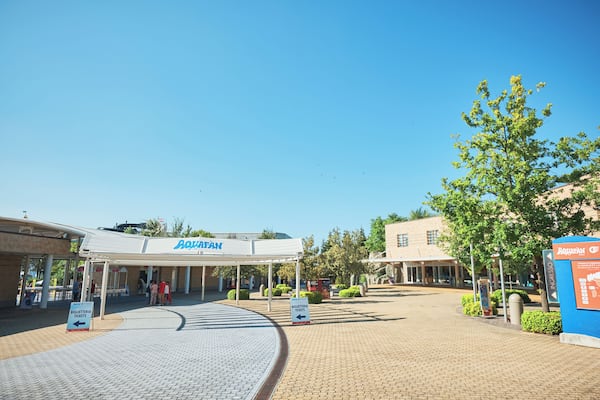 EyeEm Custom Shoots Q4 2018