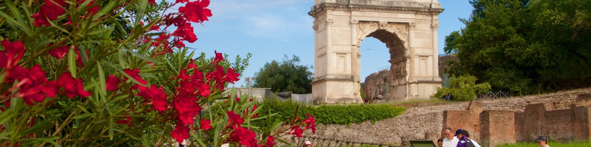 Latium montrant fleurs sauvages, patrimoine architectural et monument