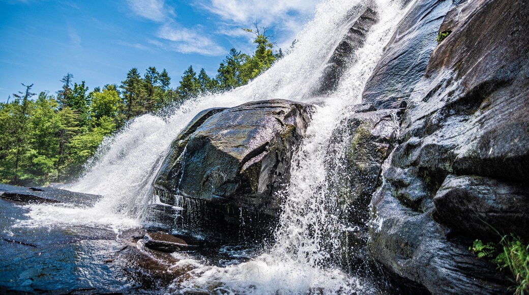 High Falls at Dupont State Park. One of the best falls to visit in Western North Carolina.
#MyBackyard
#highfalls
#dupont
#blueridgemountains
#brevard
#northcarolina
#waterfall
#hiking
#trails