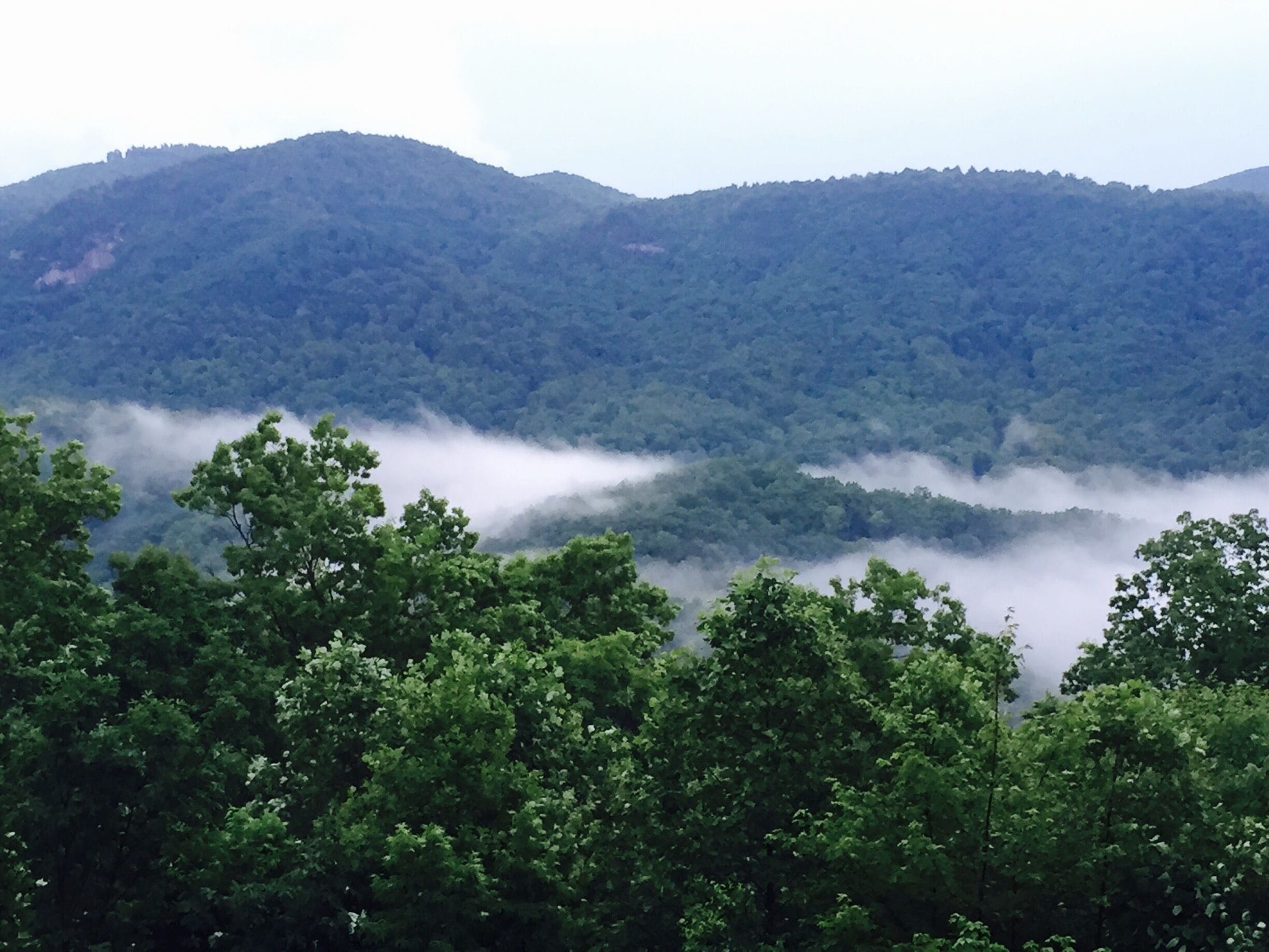The view from our rented cottage, up on the side of the mountain..... So peaceful 