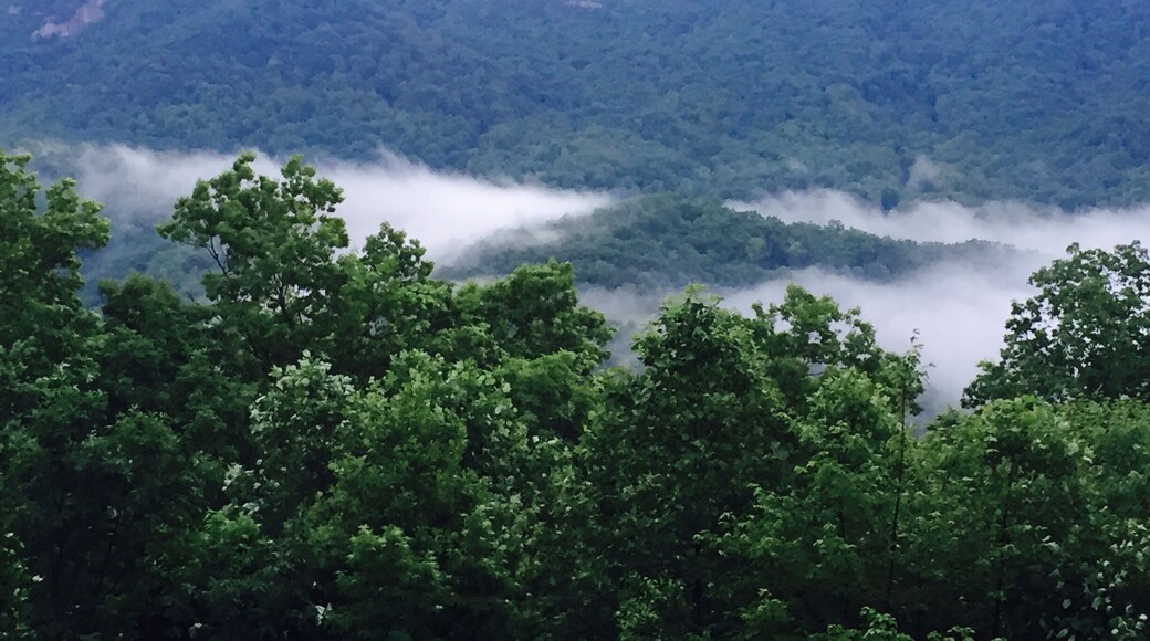 The view from our rented cottage, up on the side of the mountain..... So peaceful