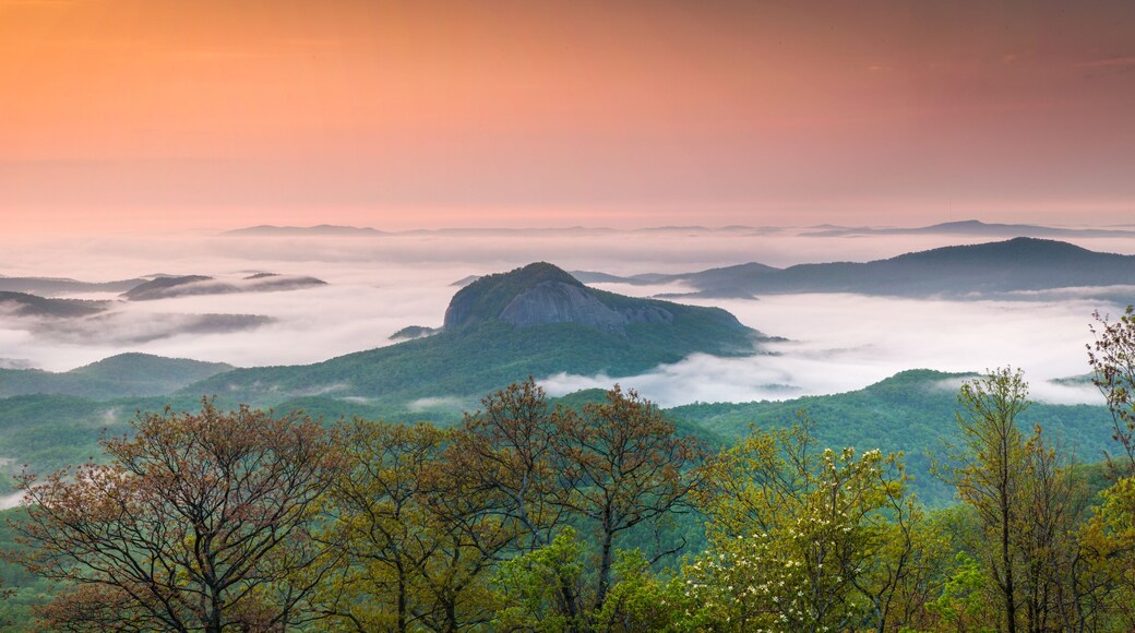 Gorgeous panoramic photo of Looking Glass Rock in Pisgah National Forest surrounding by early morning fog.