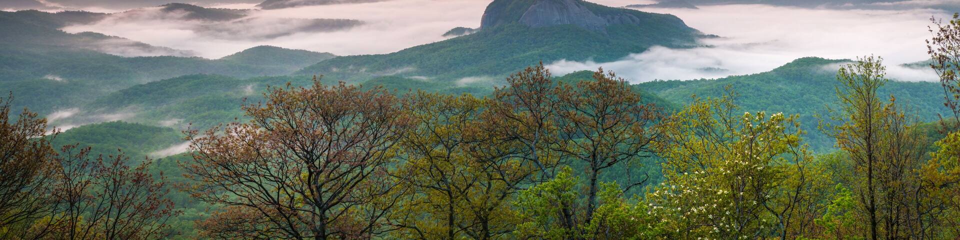 Gorgeous panoramic photo of Looking Glass Rock in Pisgah National Forest surrounding by early morning fog.
