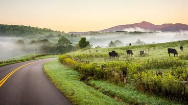 fog rolling through blue ridge parkway farm lands