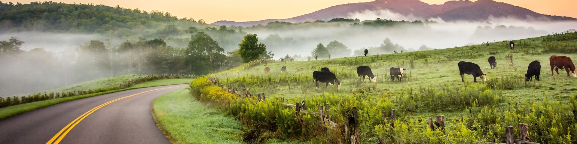 fog rolling through blue ridge parkway farm lands