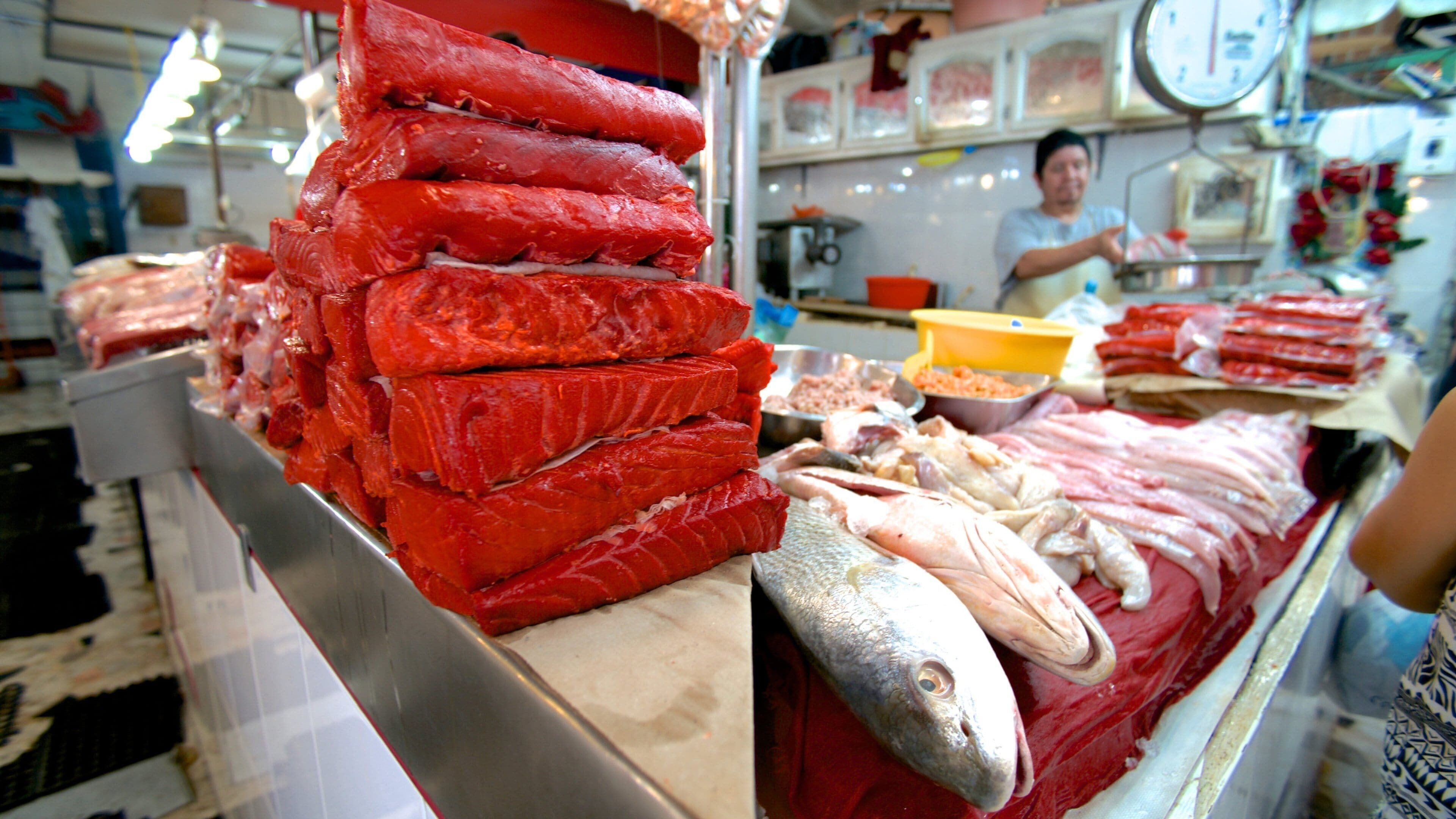 Jose Maria Pino Suarez Municipal Market featuring markets and food