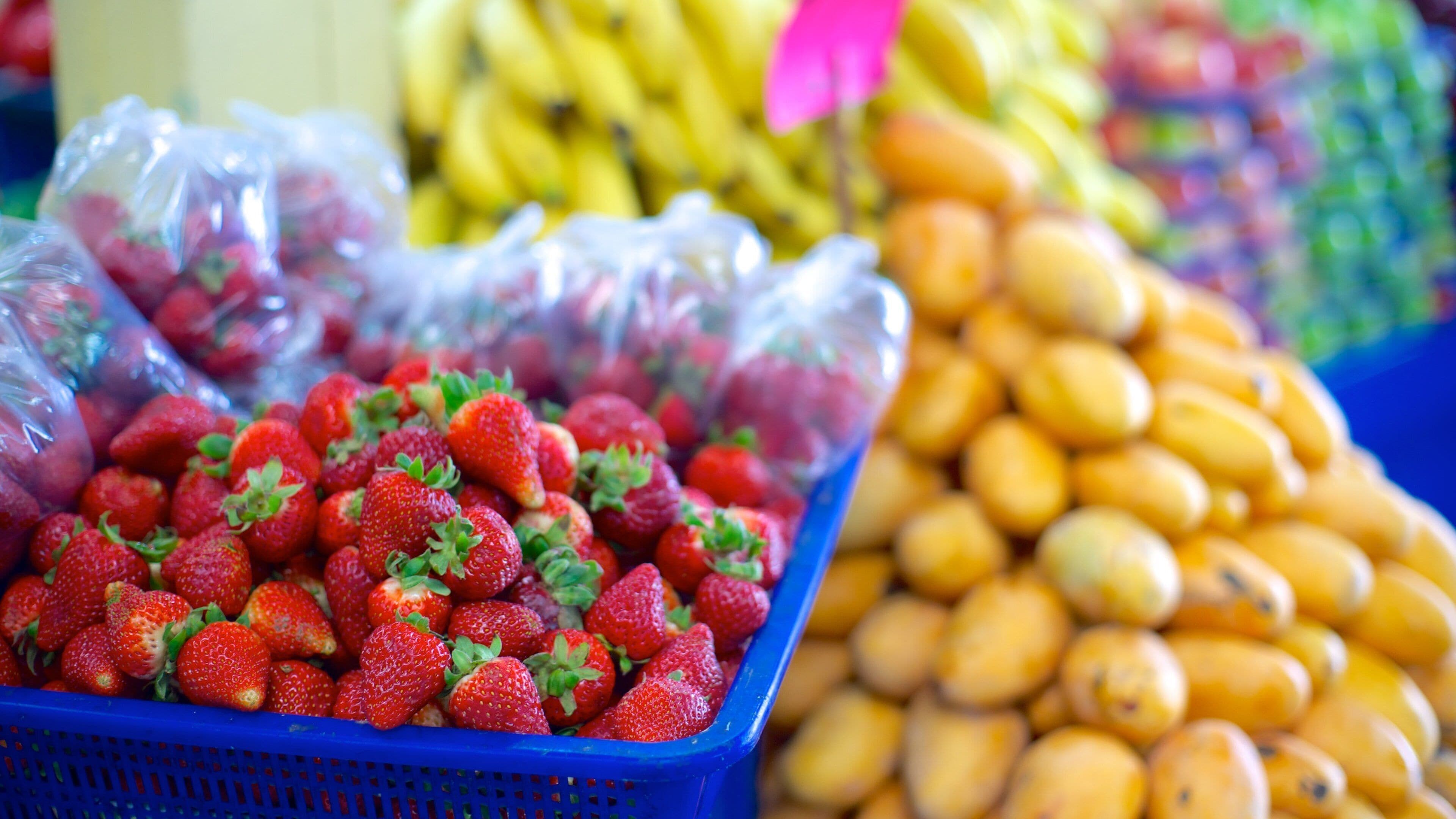 Mercado municipal José María Pino Suárez mostrando comida y mercados