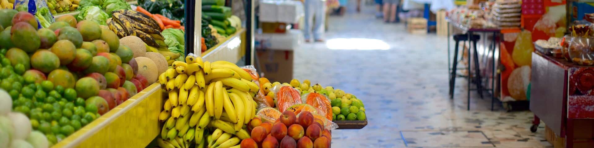 Jose Maria Pino Suarez Municipal Market showing food and markets
