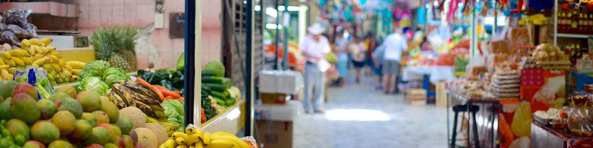 Jose Maria Pino Suarez Municipal Market which includes markets and food