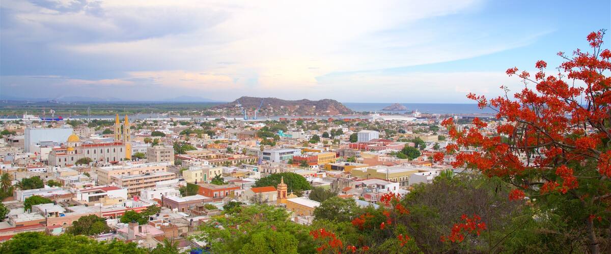 Catedral de la Inmaculada Concepción som inkluderer by, landskap og blomster