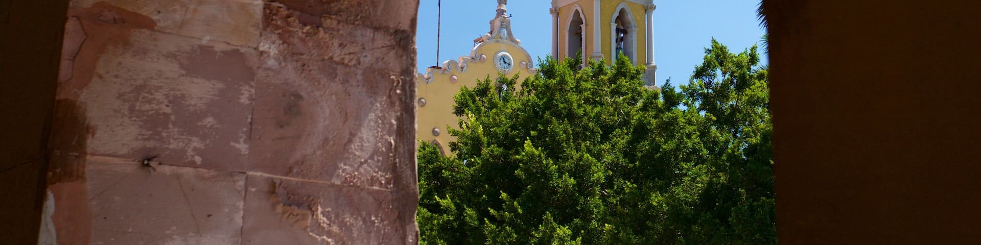 Immaculate Conception Cathedral showing a church or cathedral and heritage architecture
