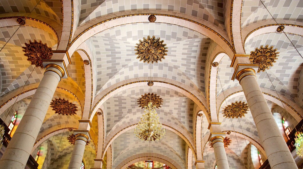 Catedral de la Inmaculada Concepción som viser innendørs og kulturarv