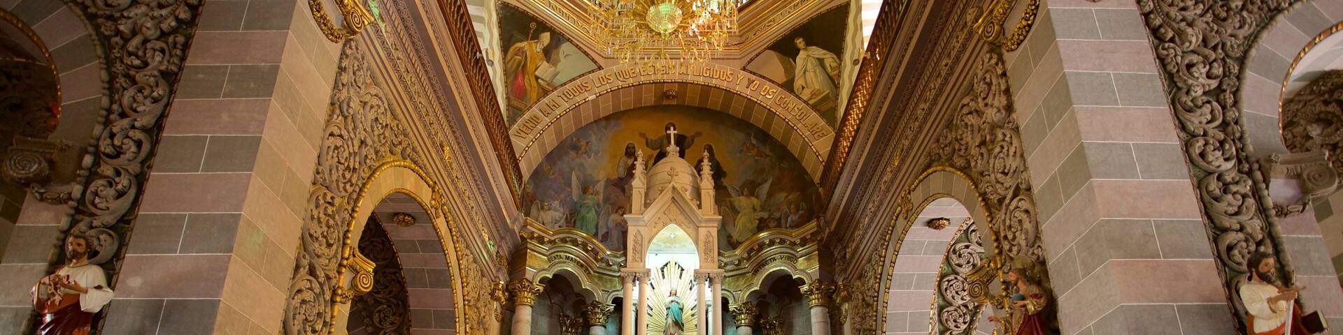 Immaculate Conception Cathedral showing a church or cathedral, interior views and heritage architecture
