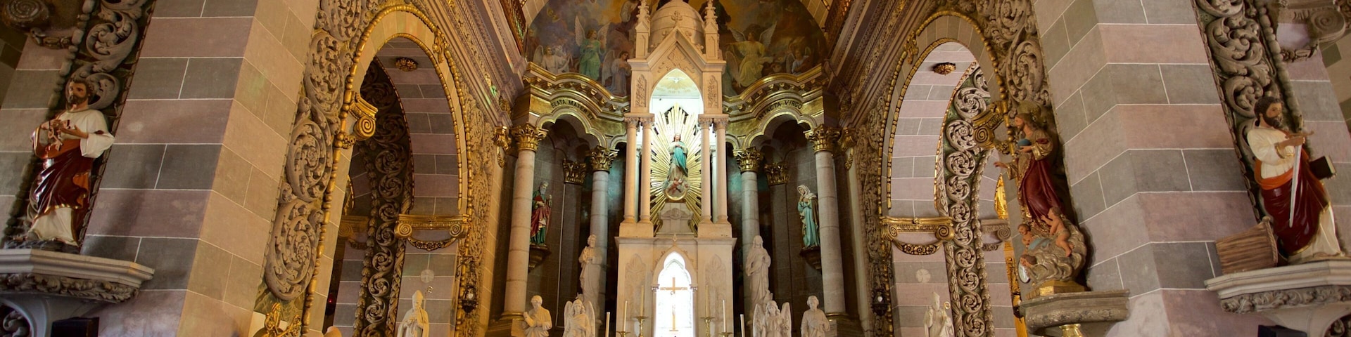 Immaculate Conception Cathedral showing a church or cathedral, interior views and heritage architecture