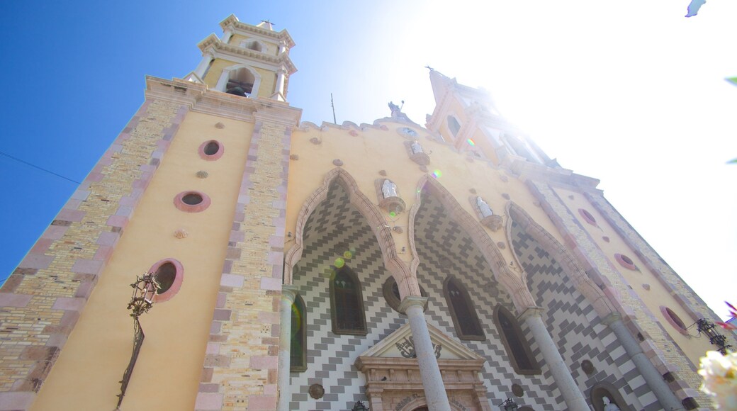 Catedral de la Inmaculada Concepción fasiliteter samt kirke eller katedral og historisk arkitektur