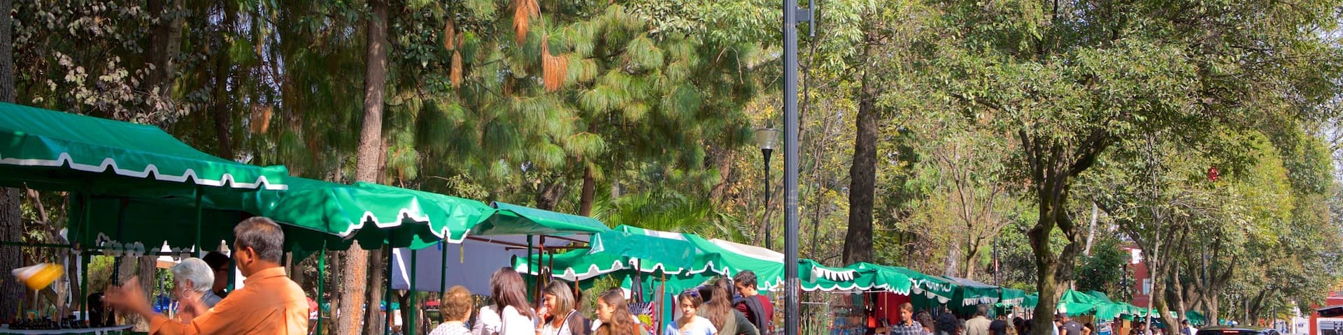 Plaza San Jacinto mostrando mercados y también un pequeño grupo de personas