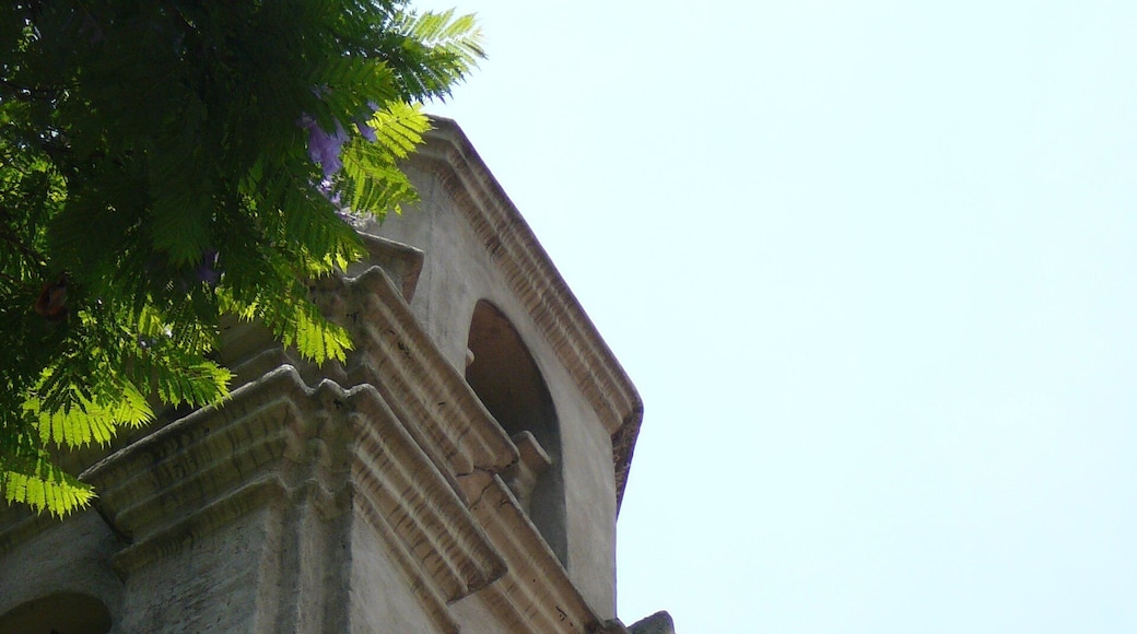 Museo Dolores Olmedo Patino