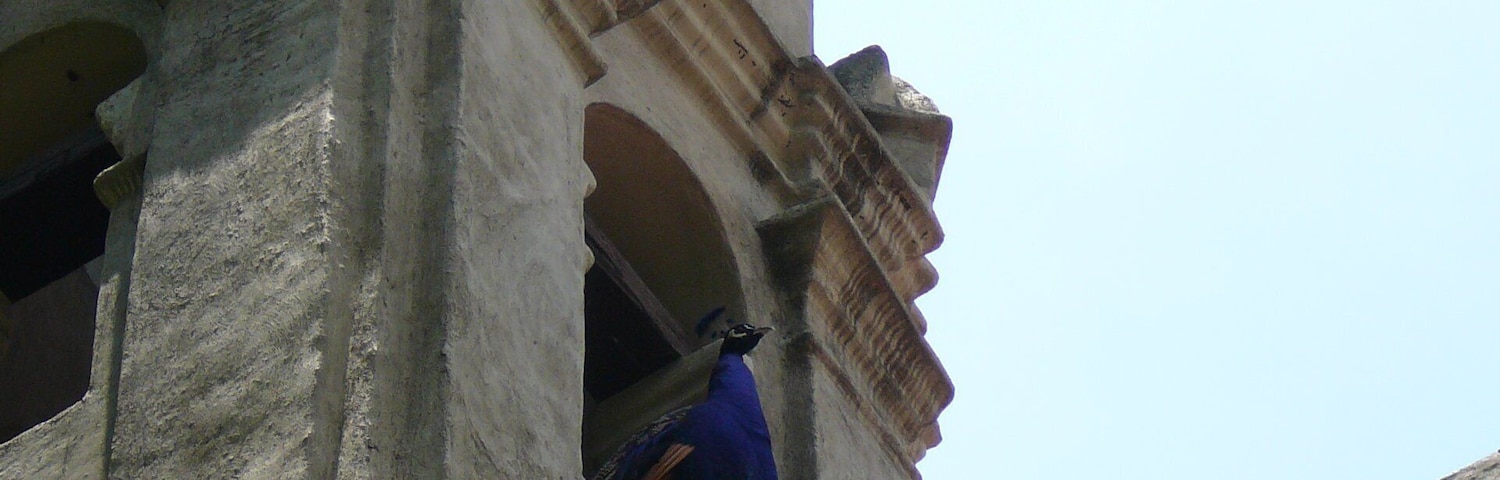 Hacienda La Noria - Museo Dolores Olmedo