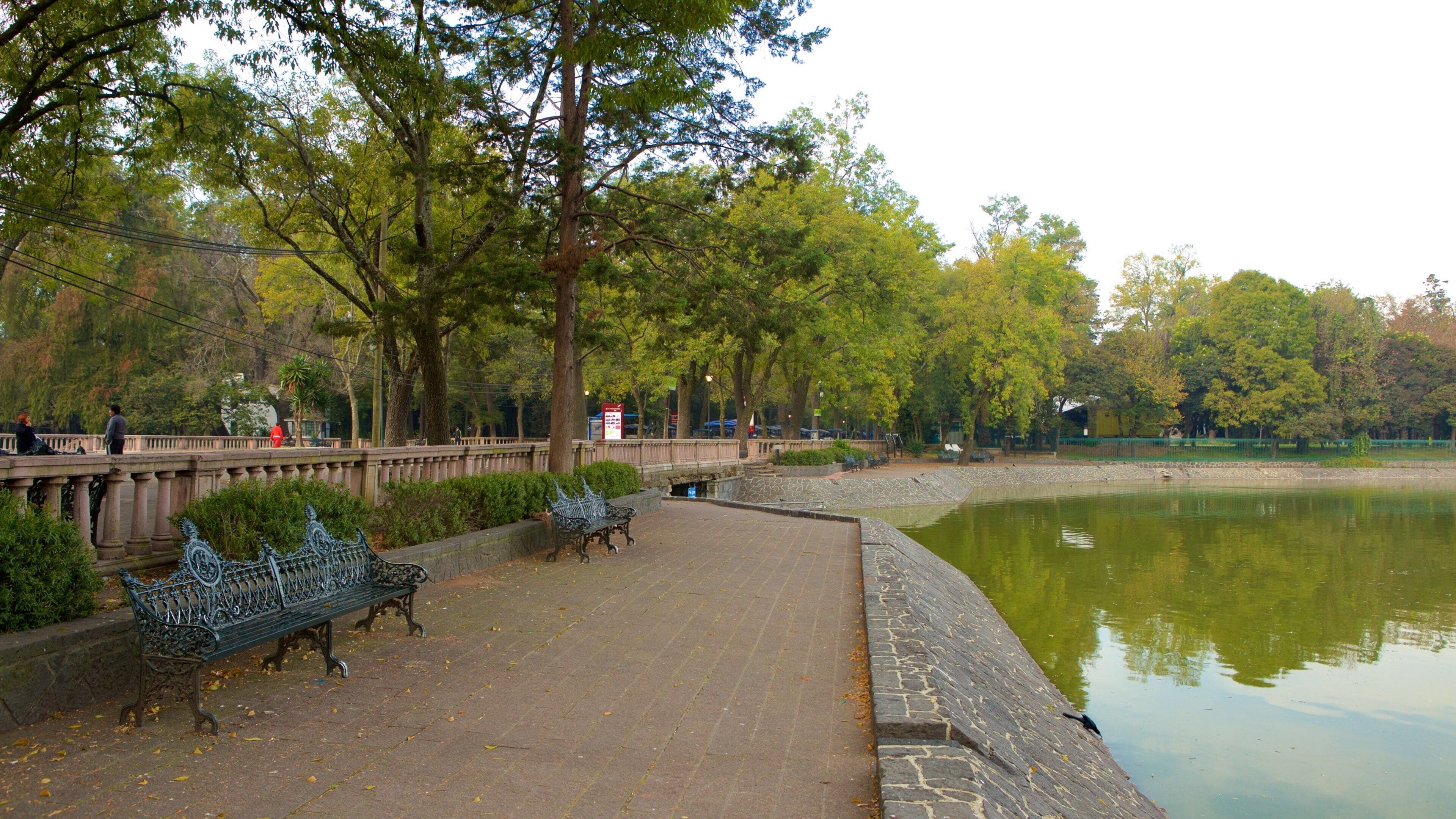 Parque Chapultepec ofreciendo un lago o abrevadero y un jardín