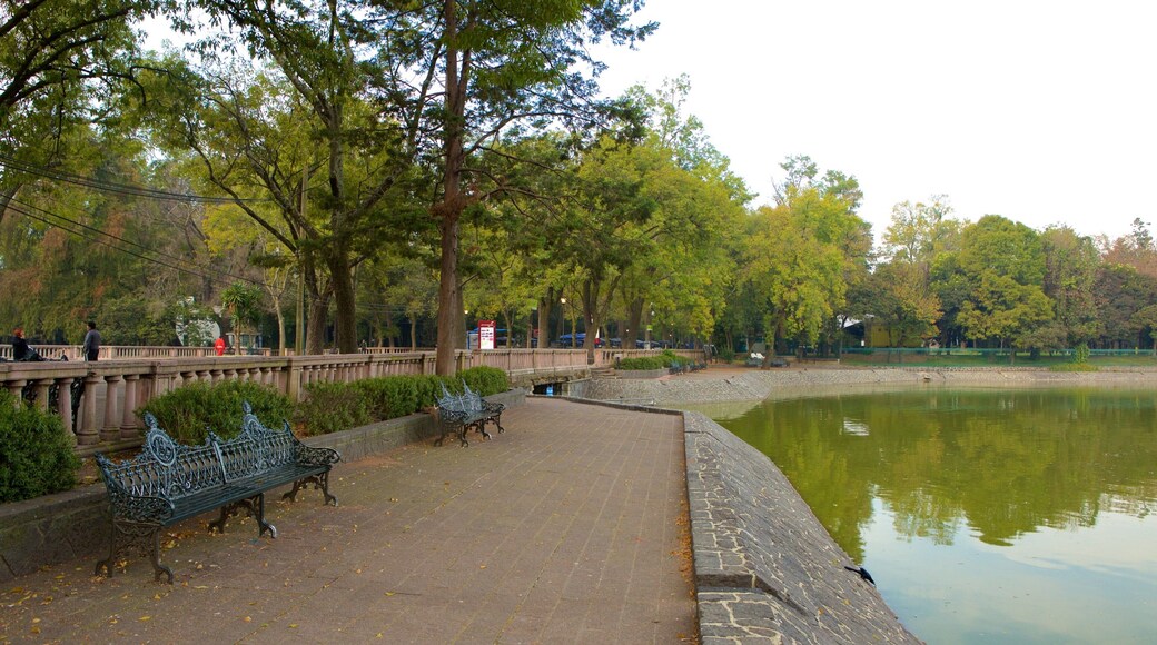 Parque Chapultepec ofreciendo un lago o abrevadero y un jardín