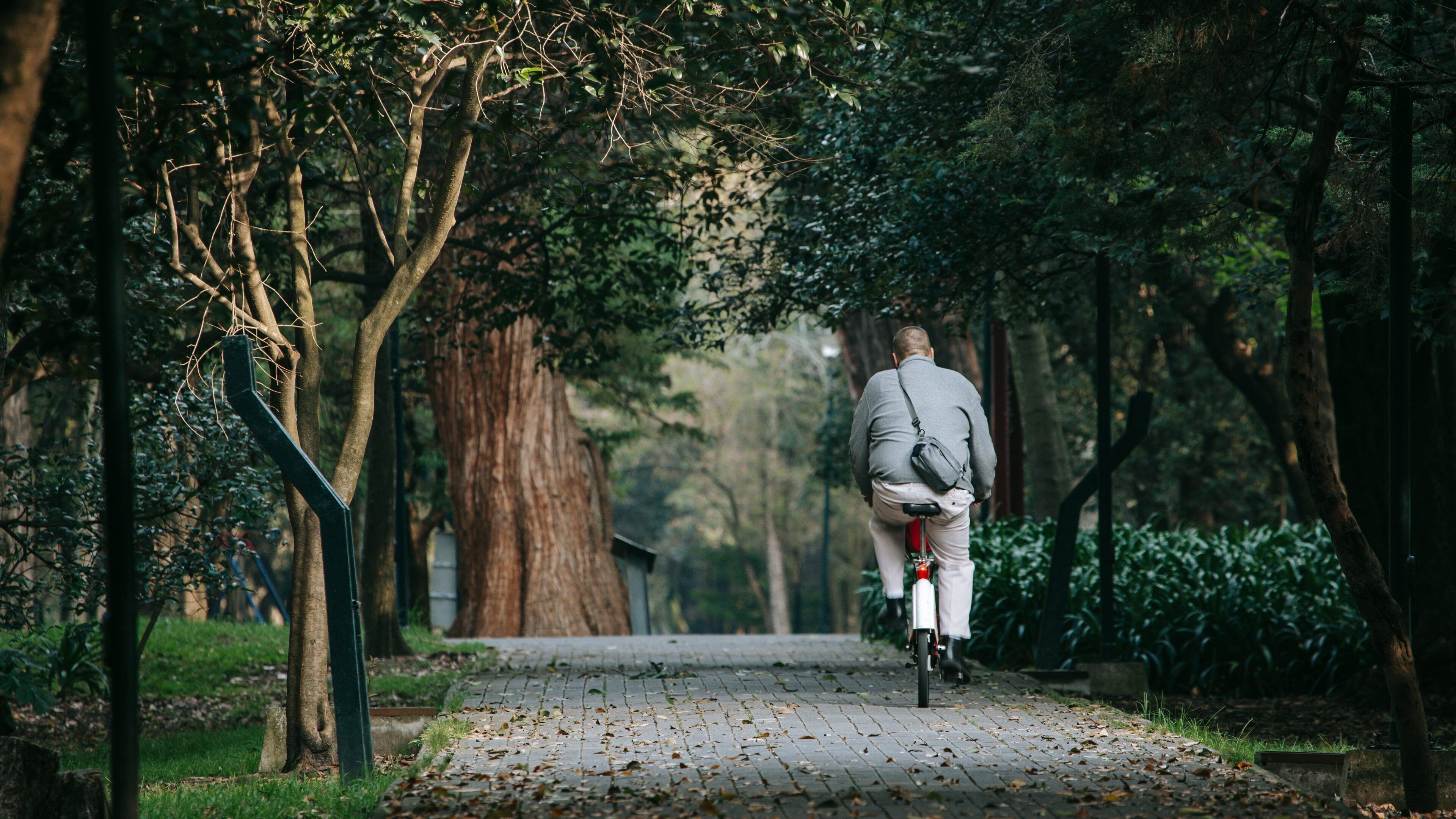 Chapultepec Park which includes cycling and a garden as well as an individual male