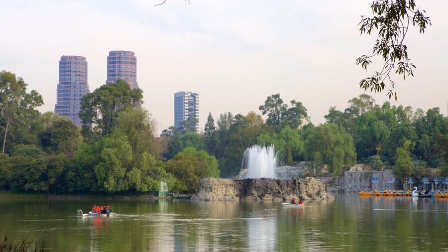 Chapultepec Park which includes a lake or waterhole and a garden