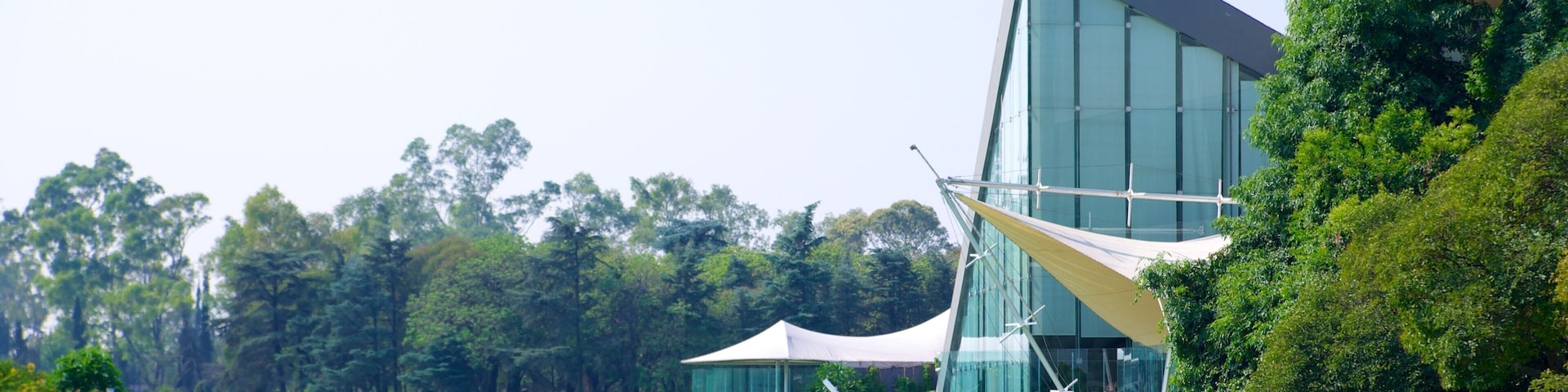 Chapultepec Park featuring a river or creek and a park