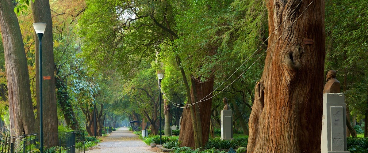 Central Mexico Hotel Guide
