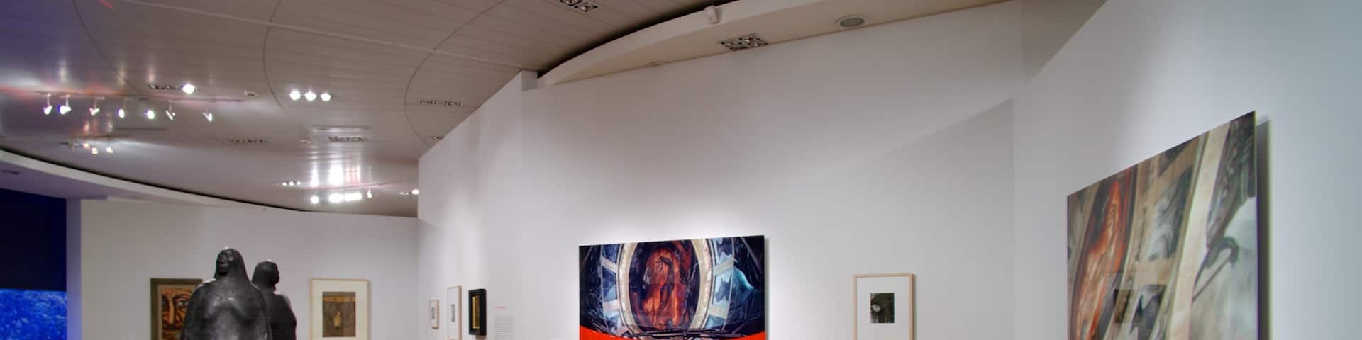 Museo de Arte Moderno which includes art and interior views