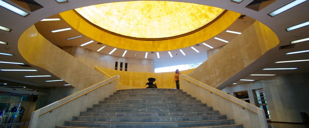 Museo de Arte Moderno showing interior views