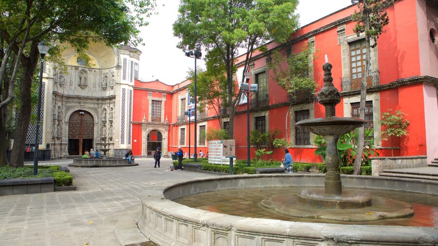 Museo Franz Mayer featuring a park, a square or plaza and a fountain