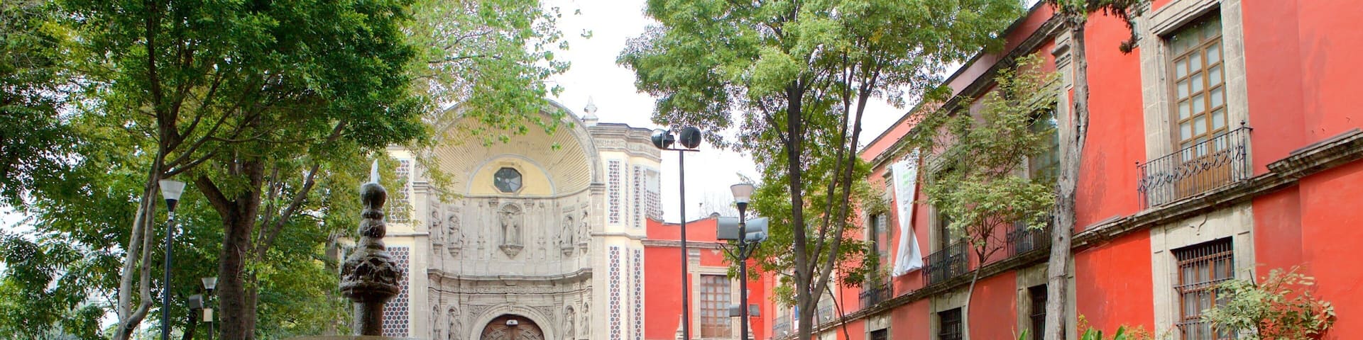 Museo Franz Mayer showing a park, a square or plaza and a fountain