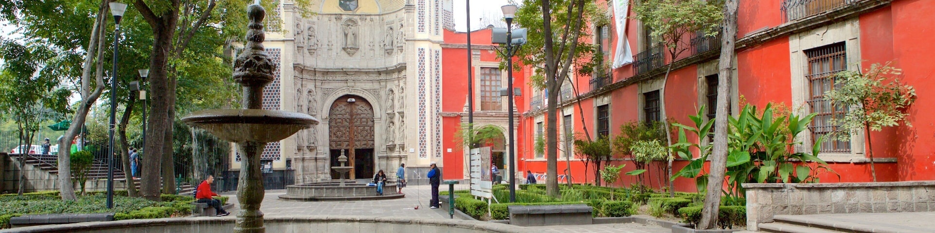 Museo Franz Mayer showing a park, a square or plaza and a fountain