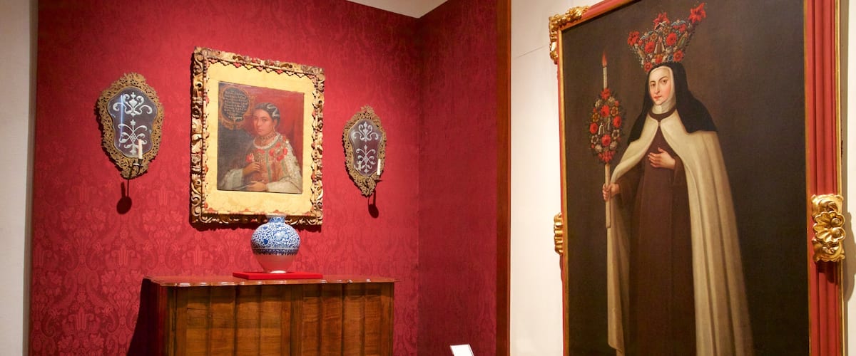 Museo Franz Mayer which includes interior views, art and heritage elements
