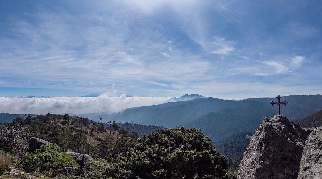 Parque Nacional Desierto de los Leones