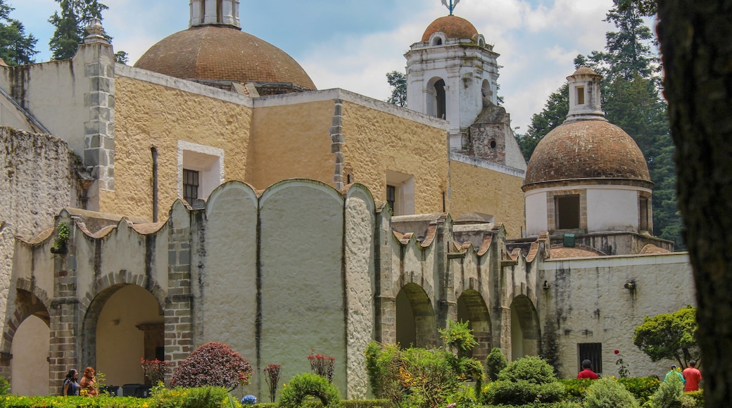 Parque Nacional Desierto de los Leones