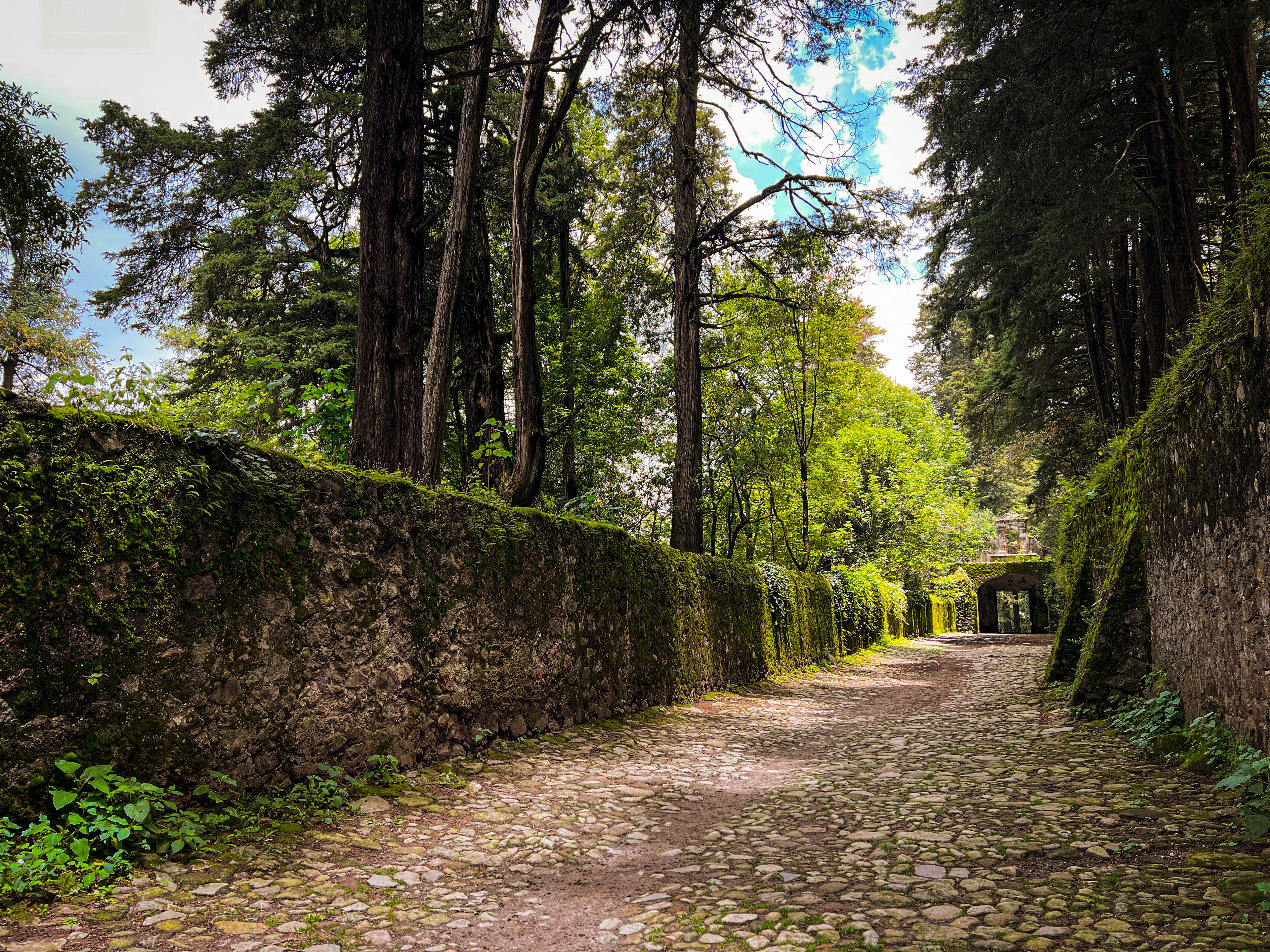 Desierto de los leones Mexico